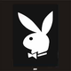 Illustration for article titled The Bunny Code